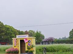 -洪湖家庭农场·团建·露营·会议