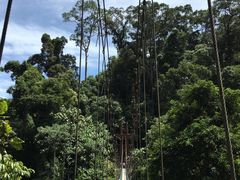 -乌鲁淡布隆国家公园