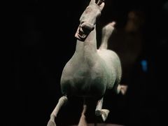 -甘肃省博物馆