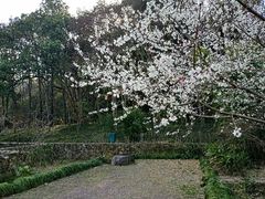 -杭州植物园