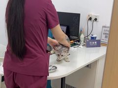 -宠颐生汉谟拉比宠物医院