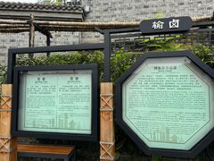 -燊海井