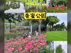 -香蜜公园