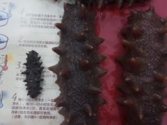 -宫品海参专卖店(黄浦老西门店)