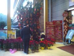 -黄埔华苑酒家(黄埔店)