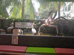 -無招牌海鮮(芽笼店)