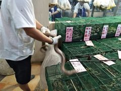 -荔城生鲜盛宴(番禺旗舰店)