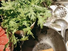 -捞王锅物料理(凯旋路店)