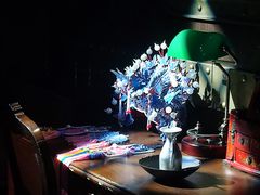 -武汉知音号