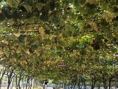 -大泽山风景名胜区