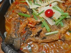 -老板恋上鱼(恒隆广场店)