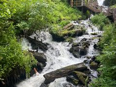 -凤凰山国家森林公园