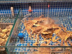 -芳·宴江南(范家路店)