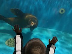 -成都浩海立方海洋公园