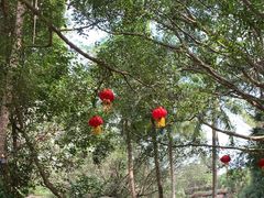 -海南热带野生动植物园