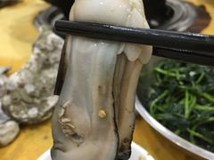 -蚝专家(北滘店)