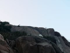 -东极岛景区