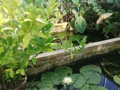 -国家植物园南园