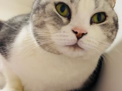 -平行世界·猫咖(首经贸店)