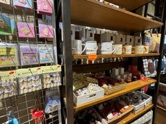 -猫咪博物馆(顶澳仔猫街店)