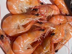 基围虾-领鲜活海鲜榴莲自助火锅(东门店)