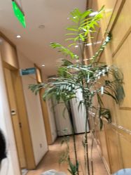-重庆星宸整形美容医院