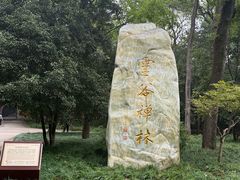 -灵谷景区