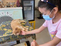 -平行世界·猫咖(首经贸店)