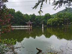-青龙山国家森林公园