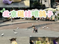 -中粮·祥云小镇