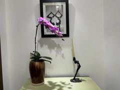 -Isofit 普拉提·婵柔工作室
