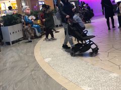 -蔡澜点心·粤菜(西单大悦城店)