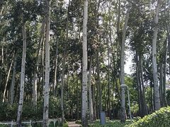 -仁和公园(顺义区)