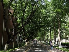 -山东师范大学(千佛山校区)
