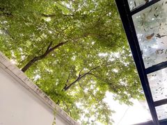 -PANYA(东湖店)