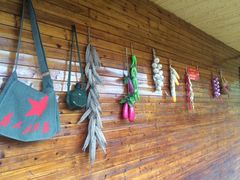 -长兴岛郊野公园农场食堂