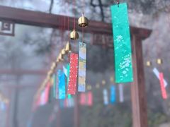 -秦岭天竺山景区