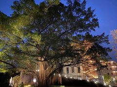 -美的鹭湖探索王国