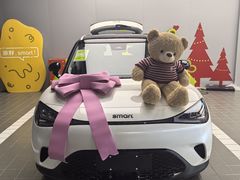 -上海浦东smart汽车全功能店(金桥店)