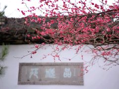 -杭州植物园
