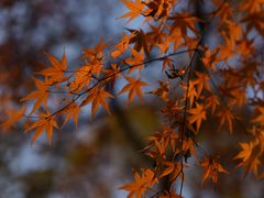 -上海植物园·停车场