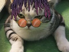 -藦茜花园宠物主题亲子互动体验馆(国顺东路店)