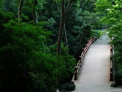 -紫霞湖公园