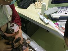 -圣宠动物医院·犬猫专科·影像中心·外科中心