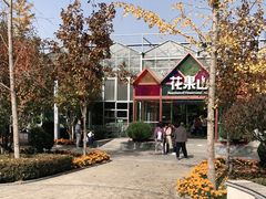 -南宫五洲植物乐园