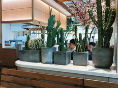 -蜜桃餐厅·伴山(湖滨商业街店)