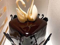 -BLACKSWAN黑天鹅(环球店)