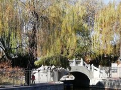 -黄村公园