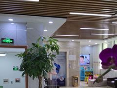-茂菊口腔连锁(浦东南路店)