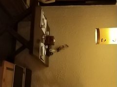 -松子日式料理(东朝阳路店)